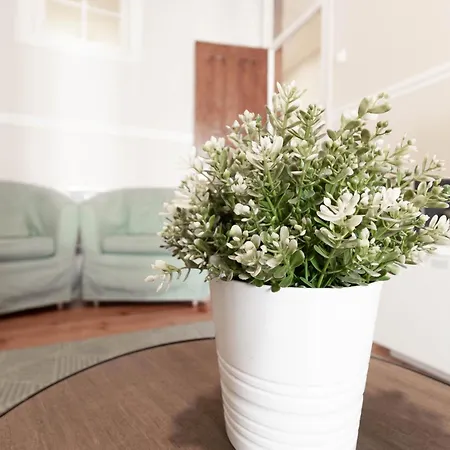 Akicity Anjos Heaven *