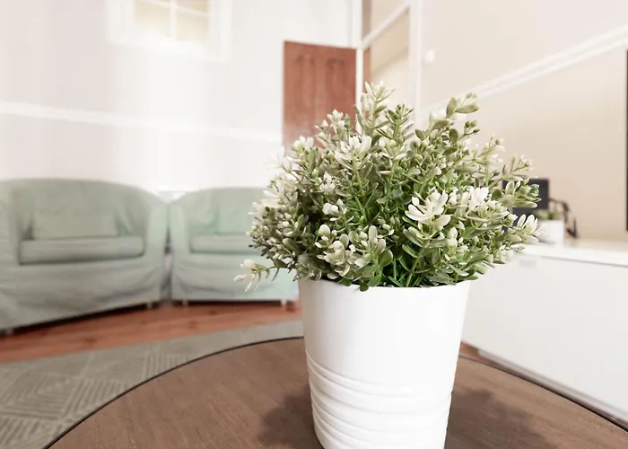 Akicity Anjos Heaven *